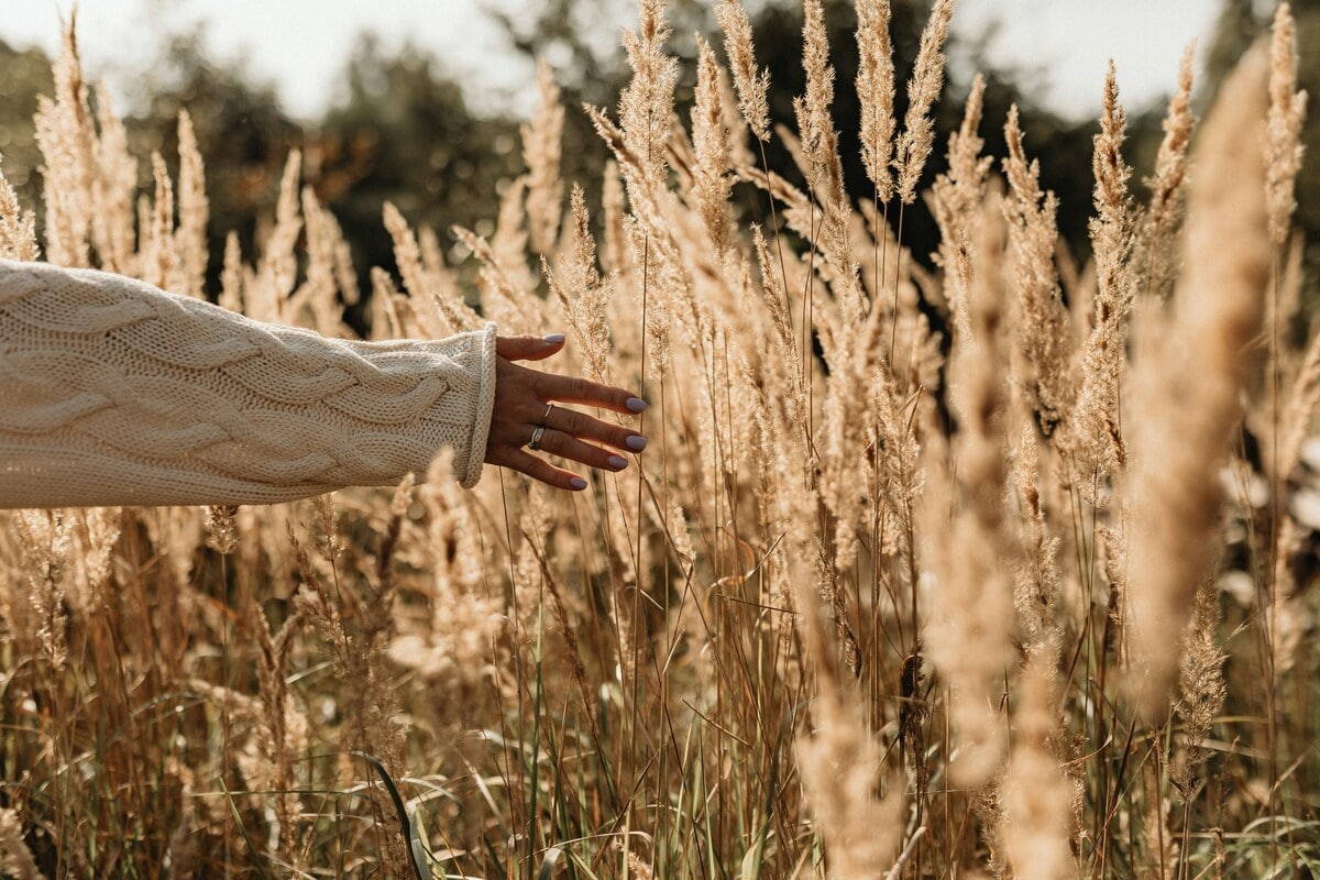 Hand door het gras als symbool voor positief denken beoefenen