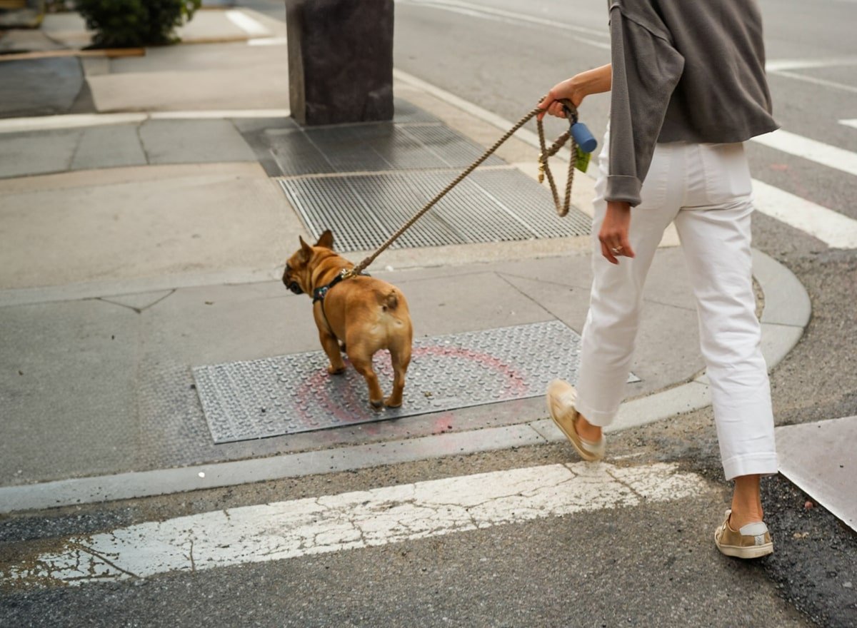 Man die de gezondheidsvoordelen van wandelen ervaart met zijn hond