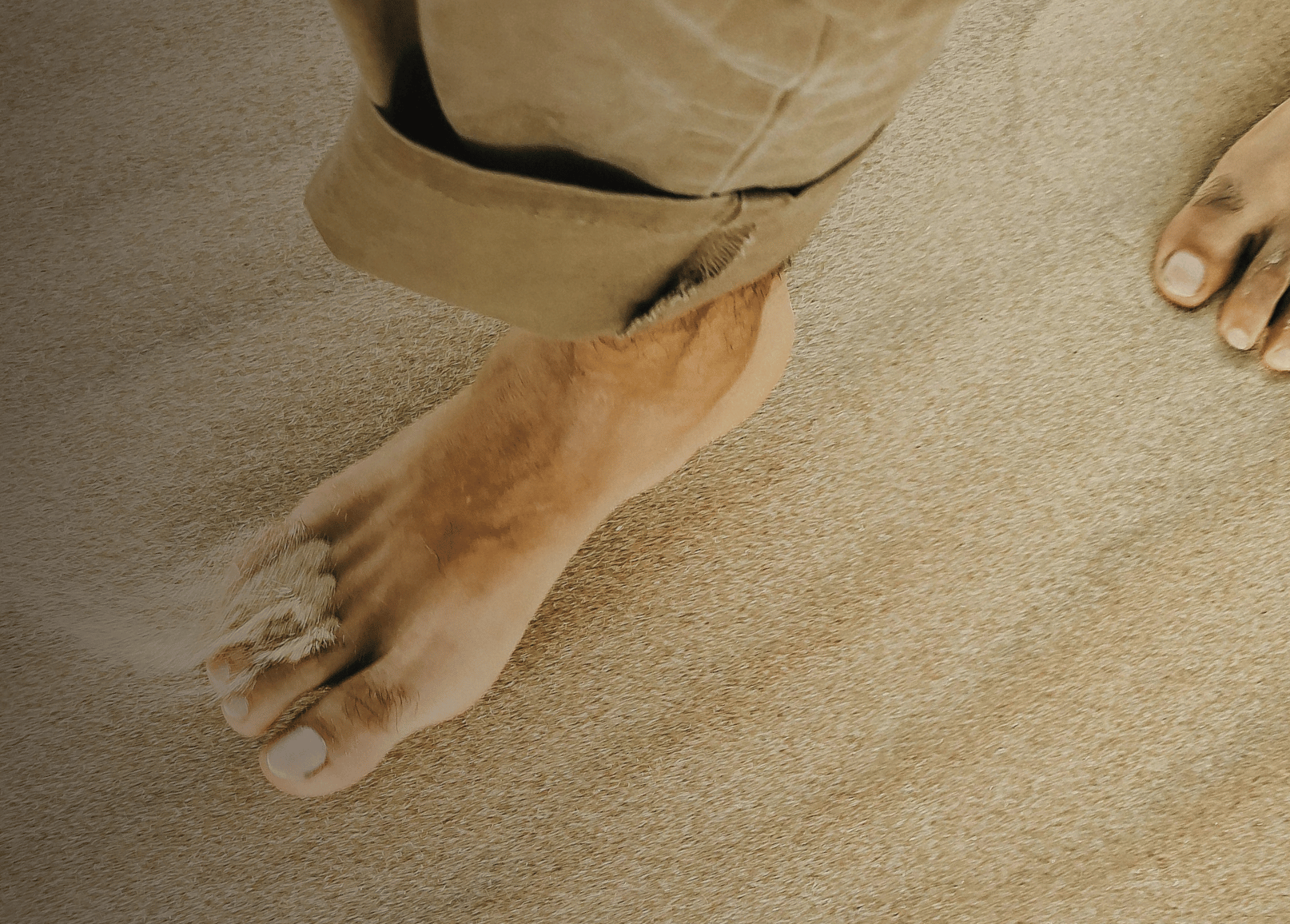 Walking In Article Banner