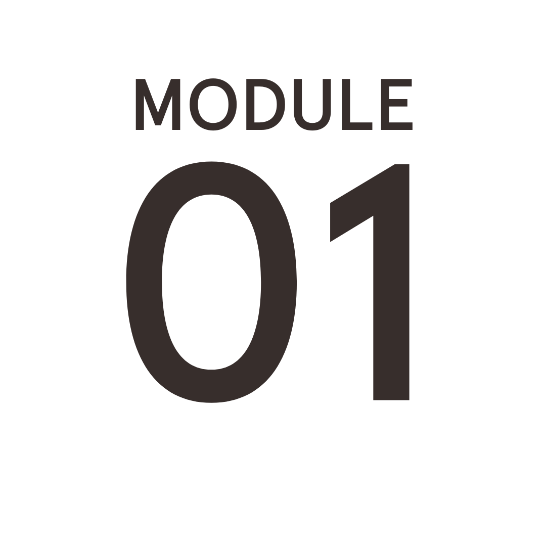 Module 1 NSDR