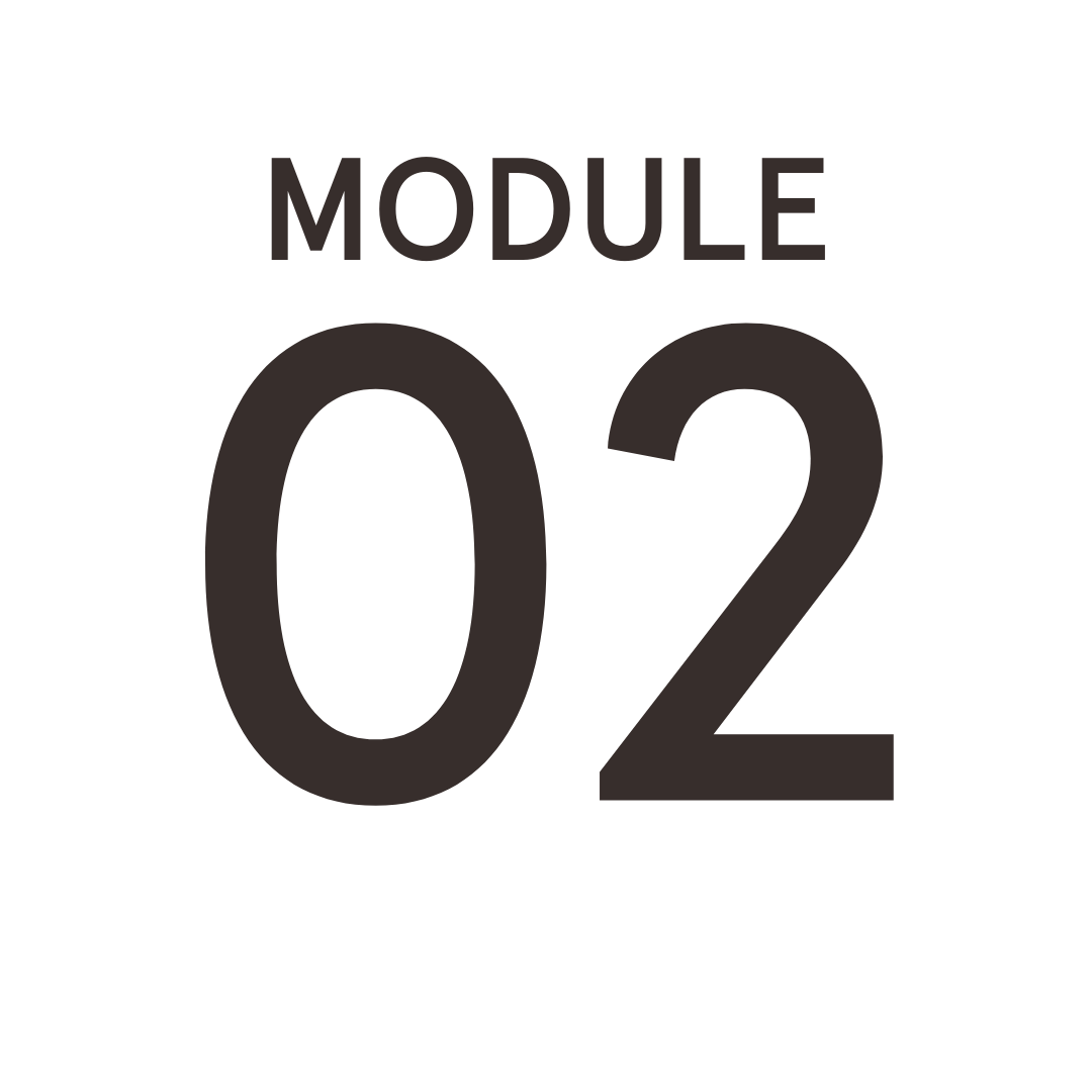 Module 2 NSDR