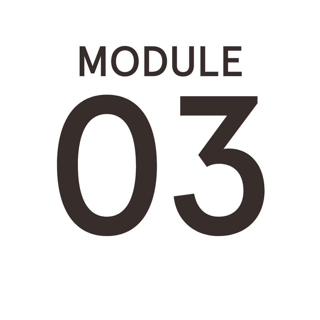 Module 3 NSDR